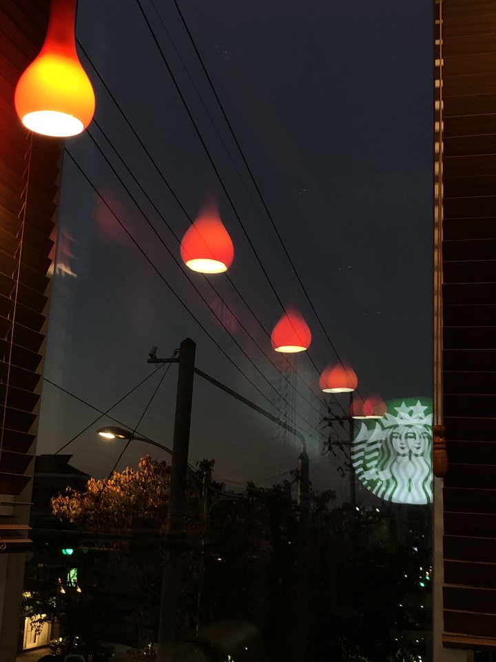 비췬 불빛