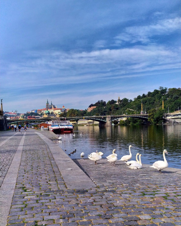 Prague