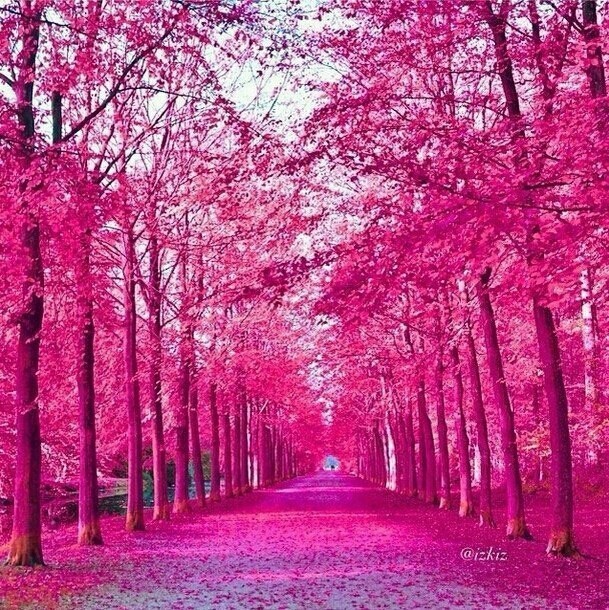 Pink