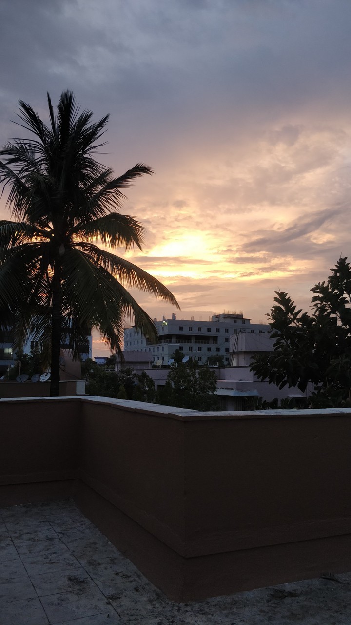#sunset