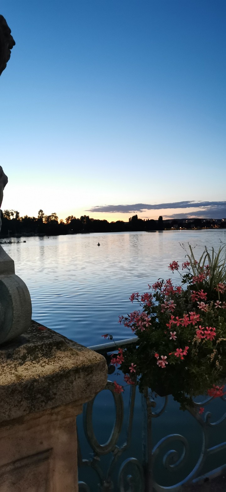 Evening vibes