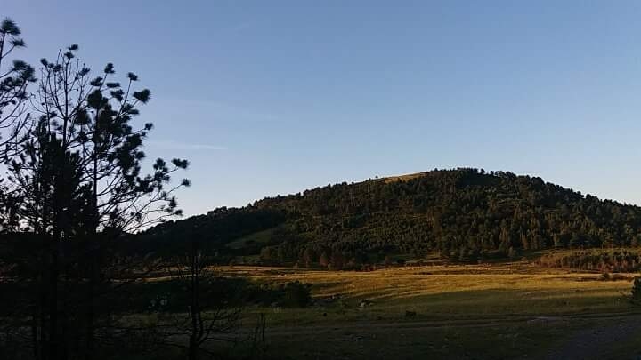 hills are alive