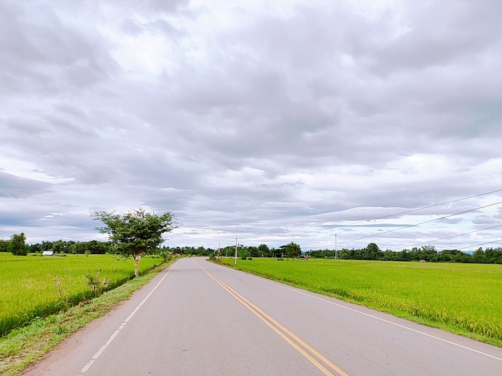 Natural beauty and road