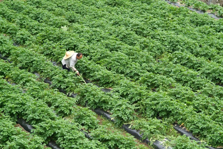 Agriculture