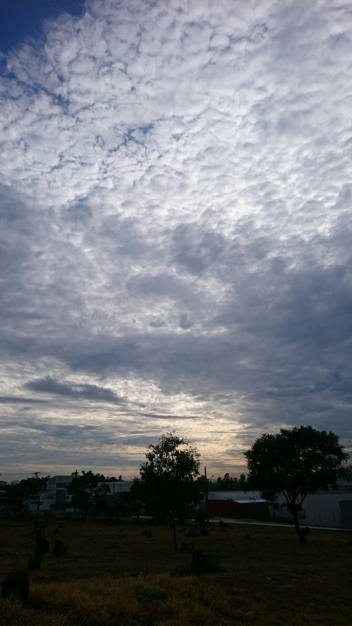 Manhã