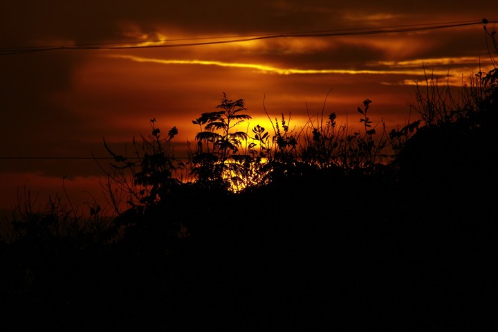 SHADE OF SUNSET