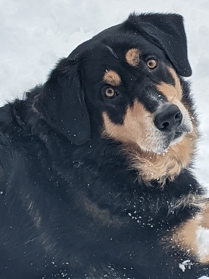Le beau Jack