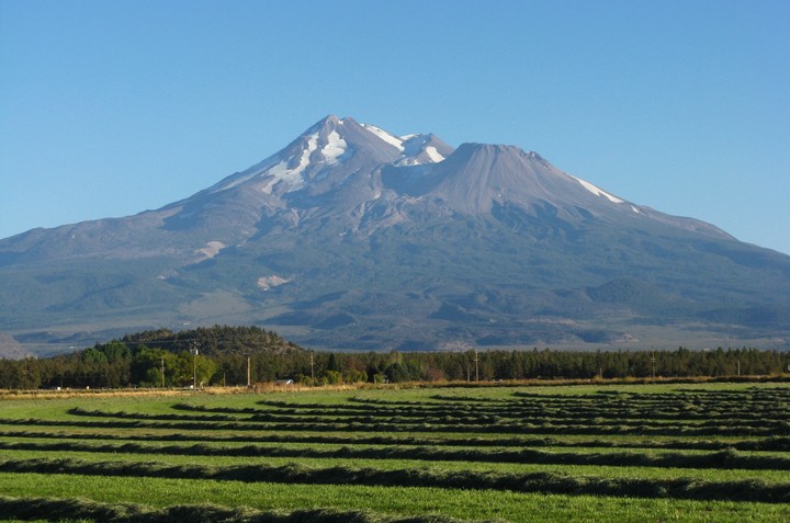 Mt. Shasta