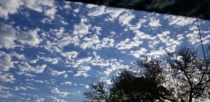Clear Skies