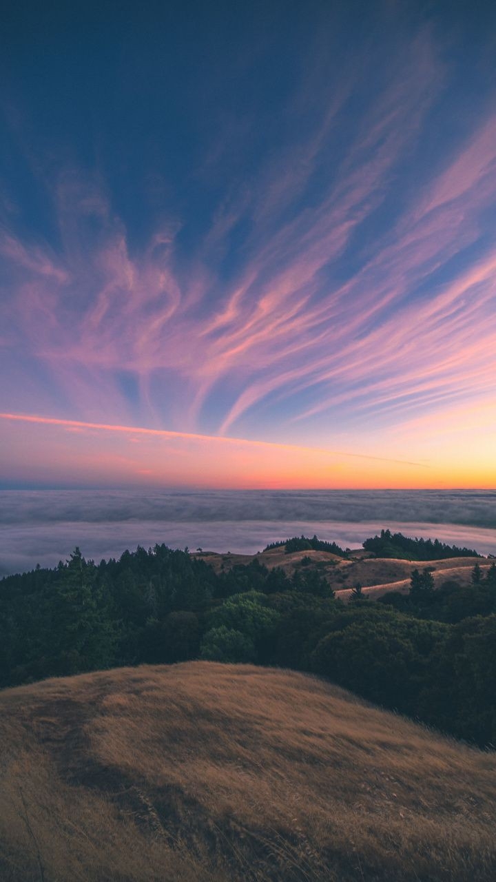 nature