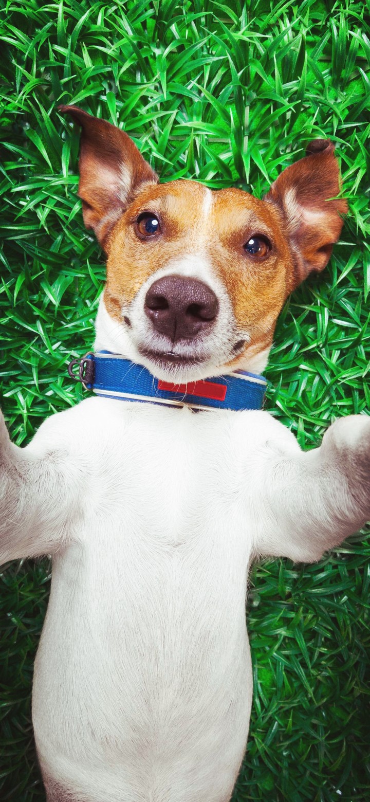 Selfieeeeeeeeeee