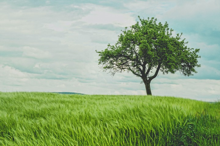 Beauty of earth
