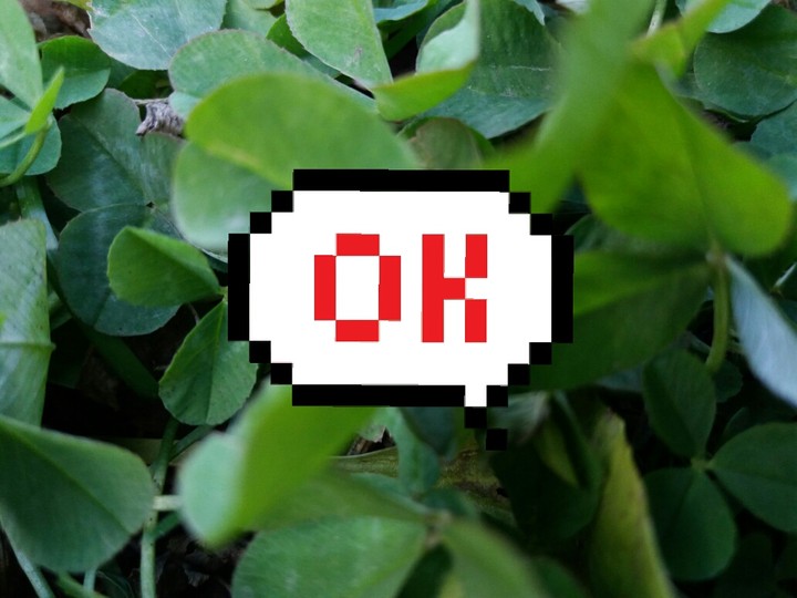 _Ok_