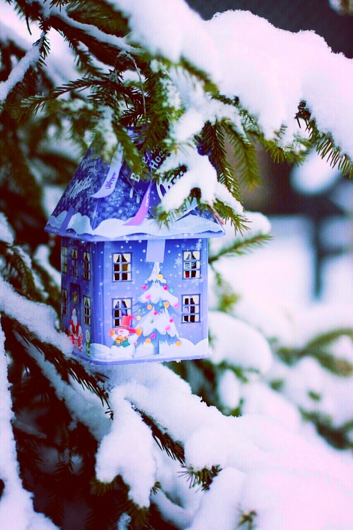 Winter