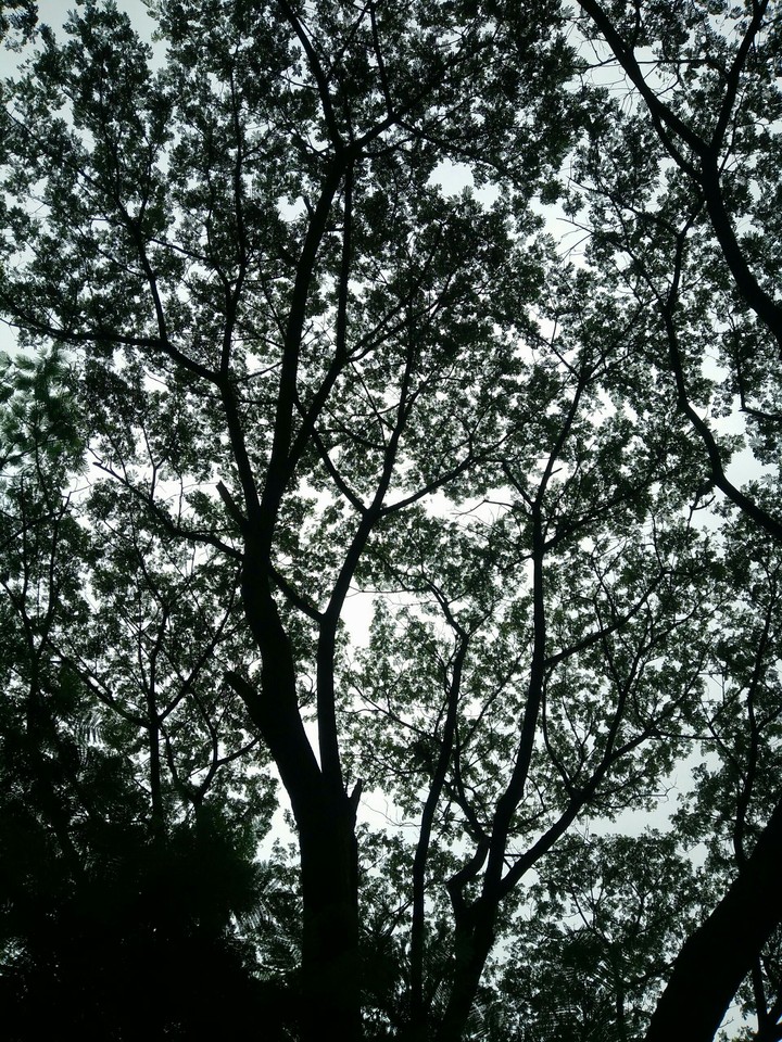 Everything isn't as we perceive!