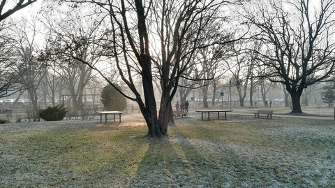 Park