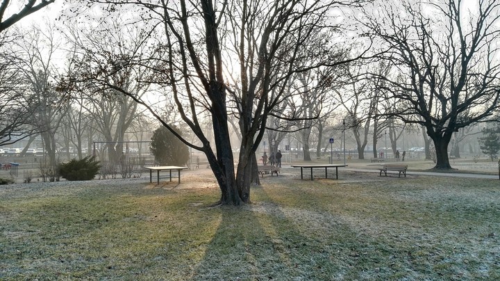 Park