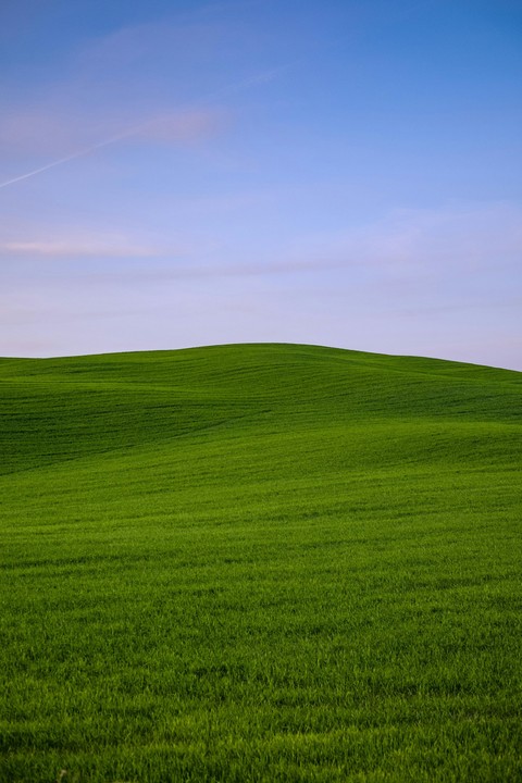 meadow, steppe wallpapers