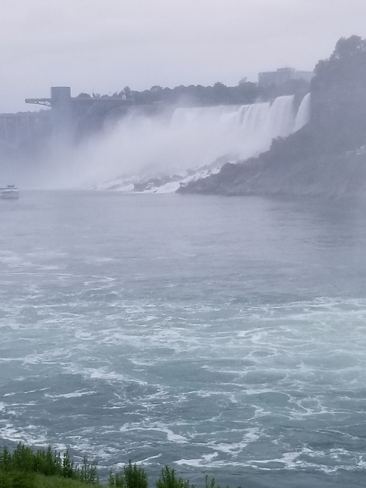 Canada vaca