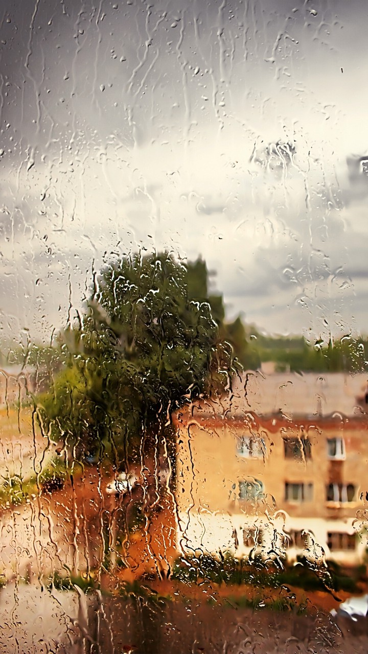 #rainwater