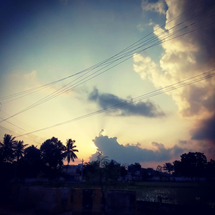 Nature