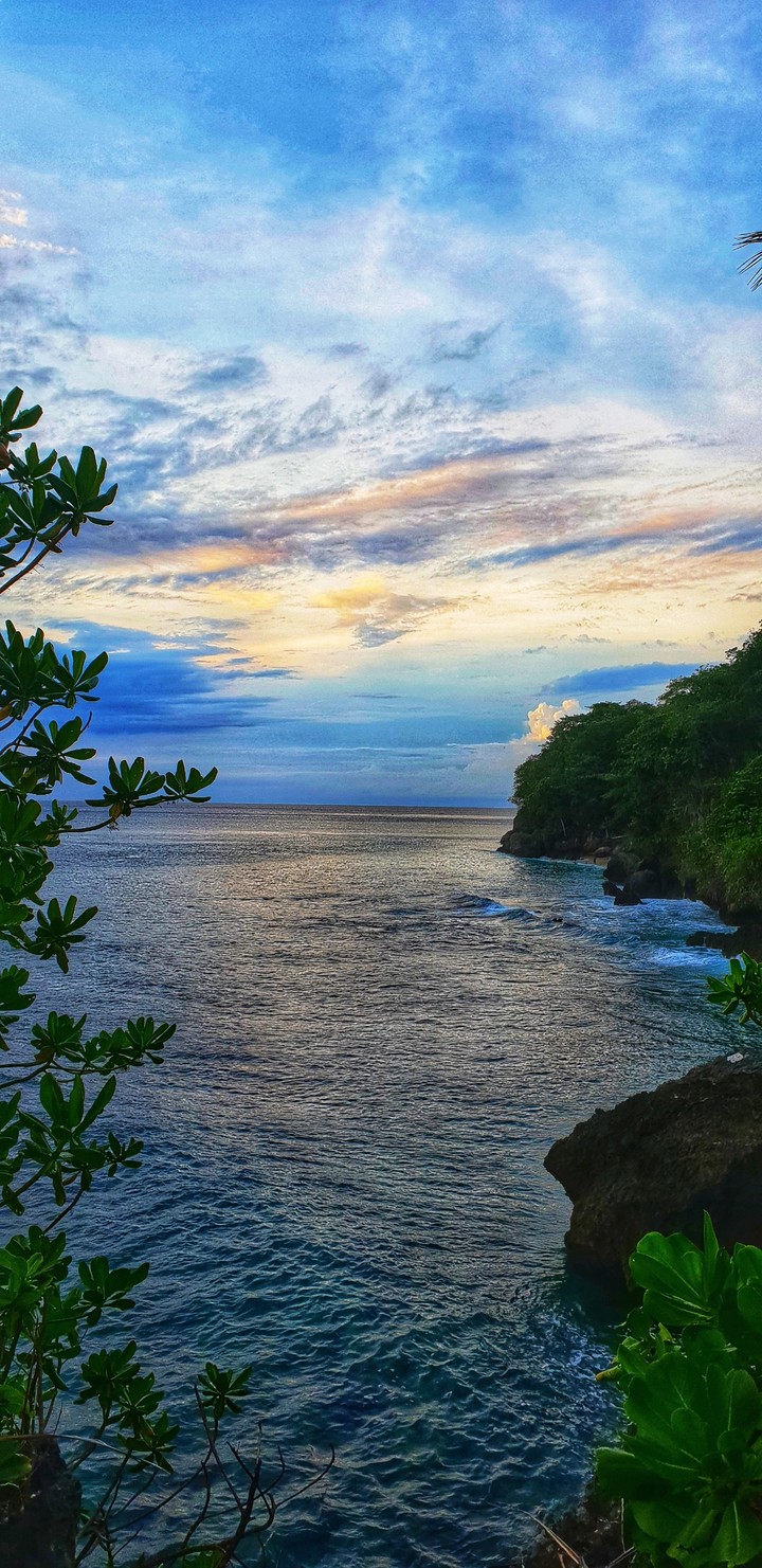Pacific Breeze