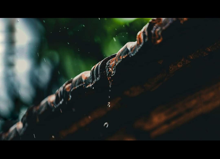 Rainy