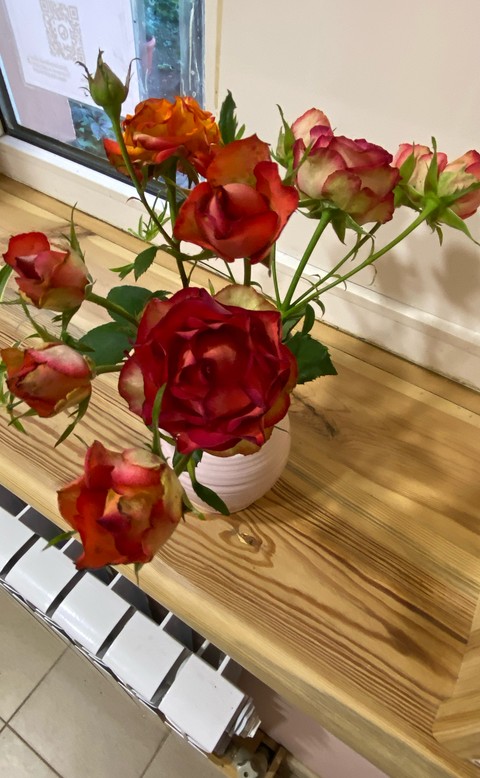 тапети floristry, pink
