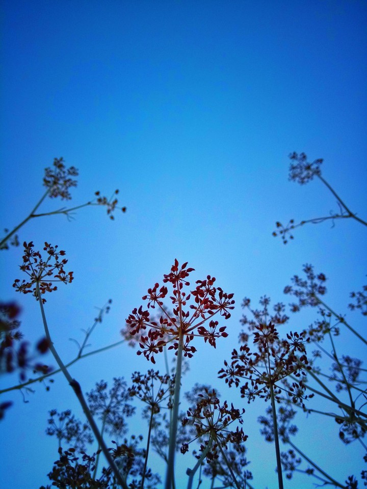 Looking towards the sky