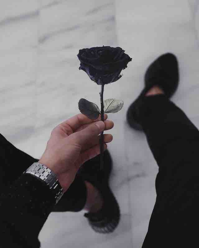 I’m nothing without....