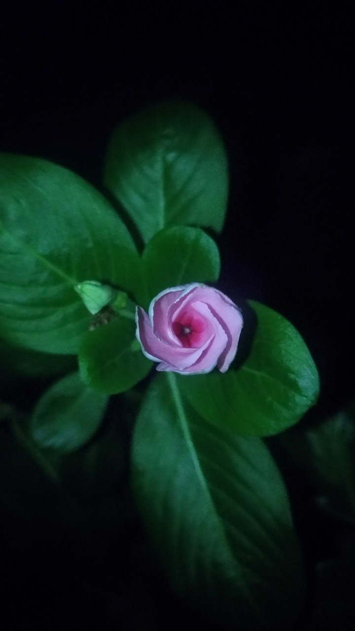 Natural