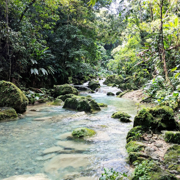 Bottom of Reach Falls, Portland, Jamaica