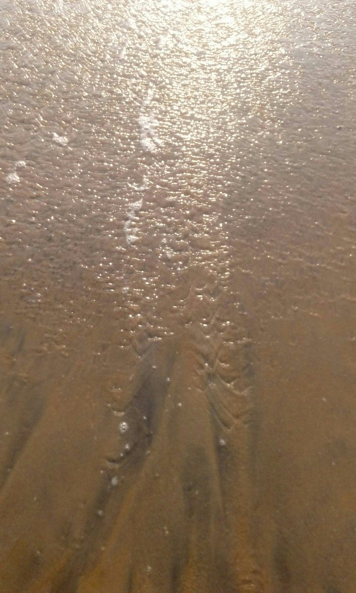 Sea soil