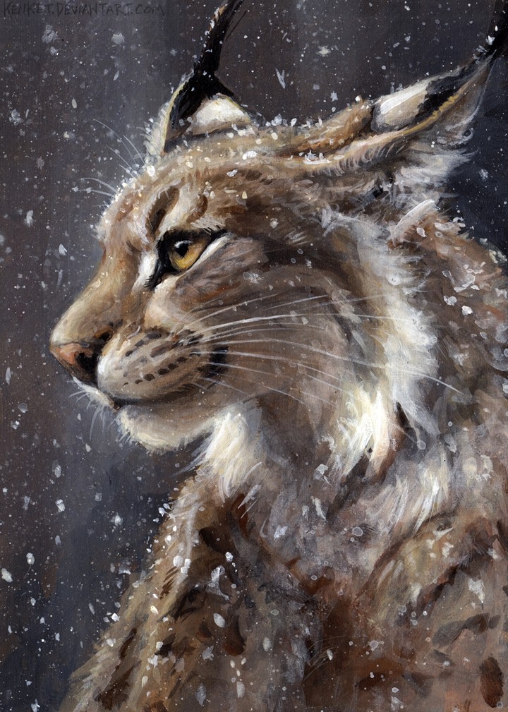Lynx in snow