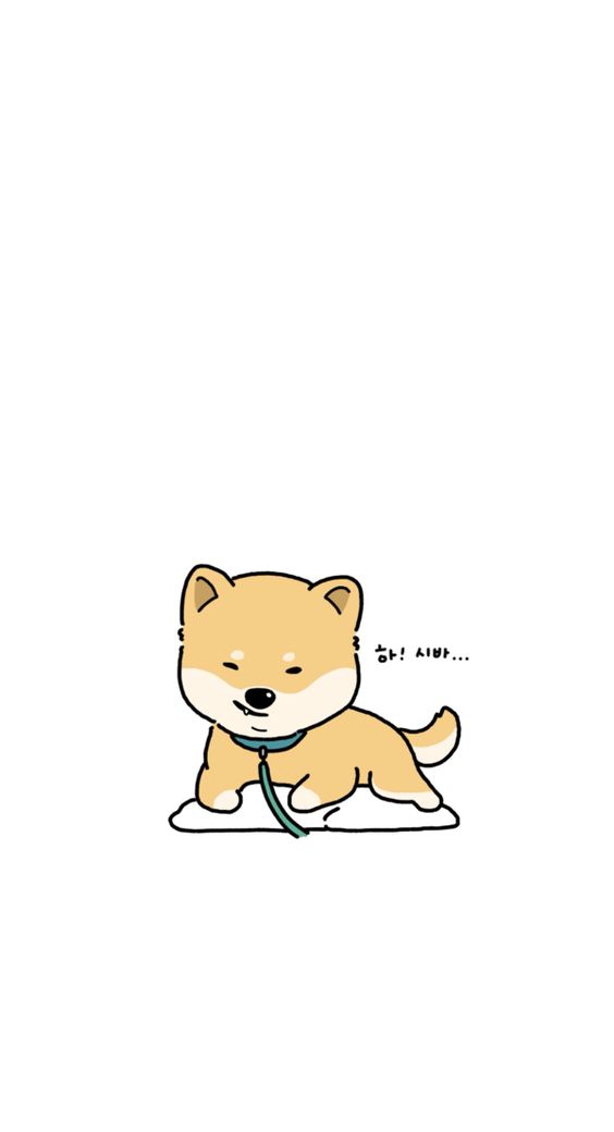 시바견
