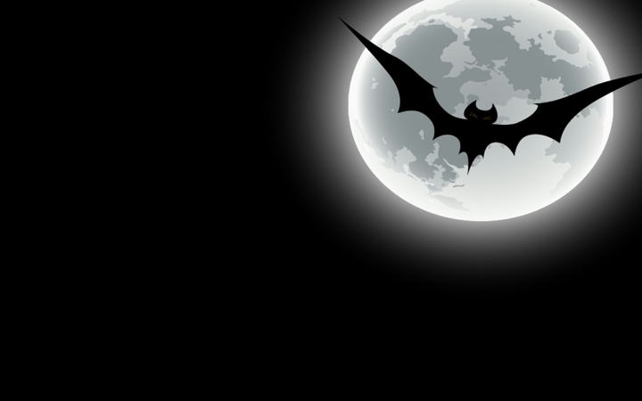 Bat