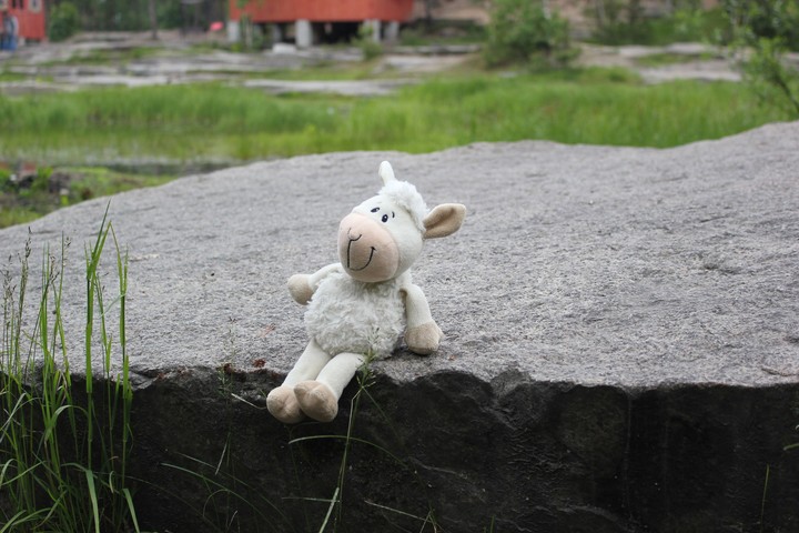 Барашик