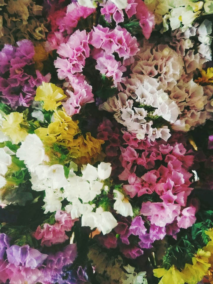 Wonderful flowers