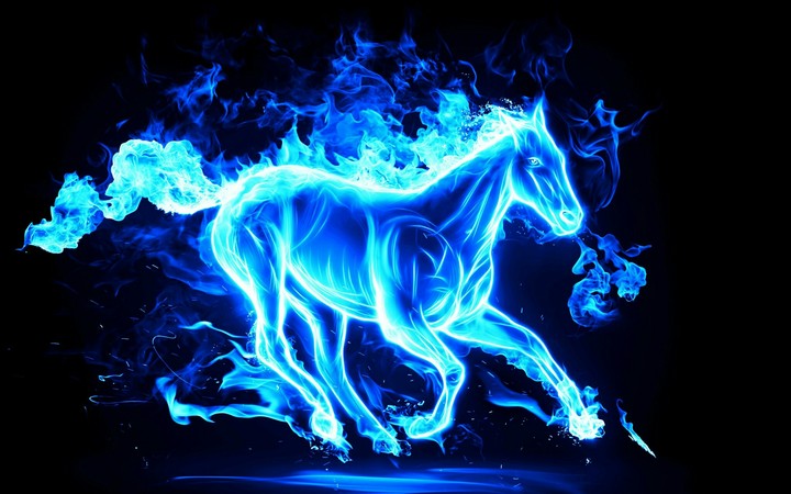 horse