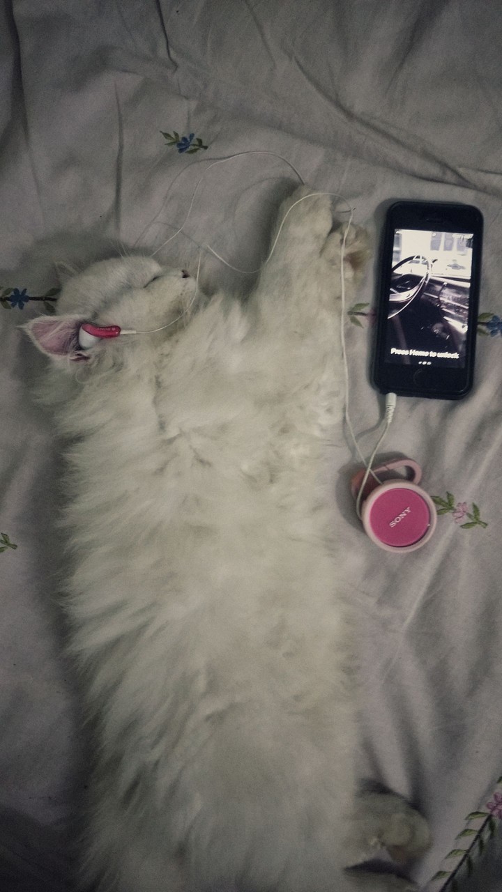 sleeping beauty