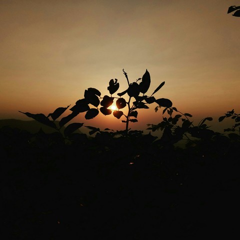 #sunset