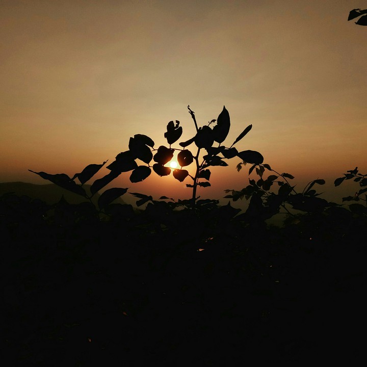 #sunset