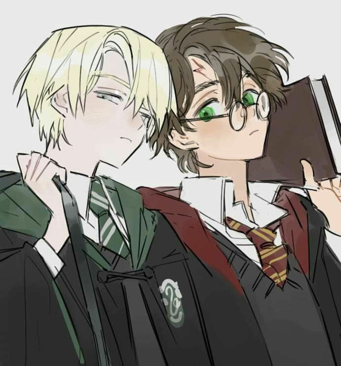 Draco et Harry