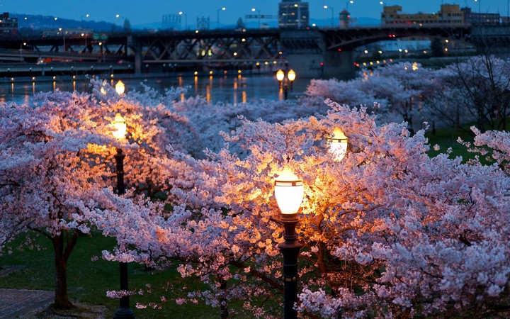 light
