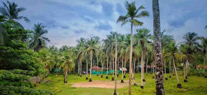 it’s my village
