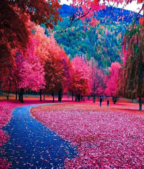 road