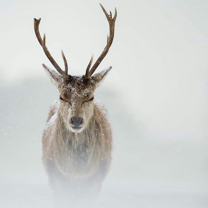 winter...