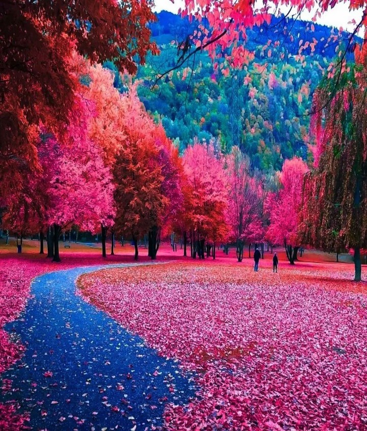 road