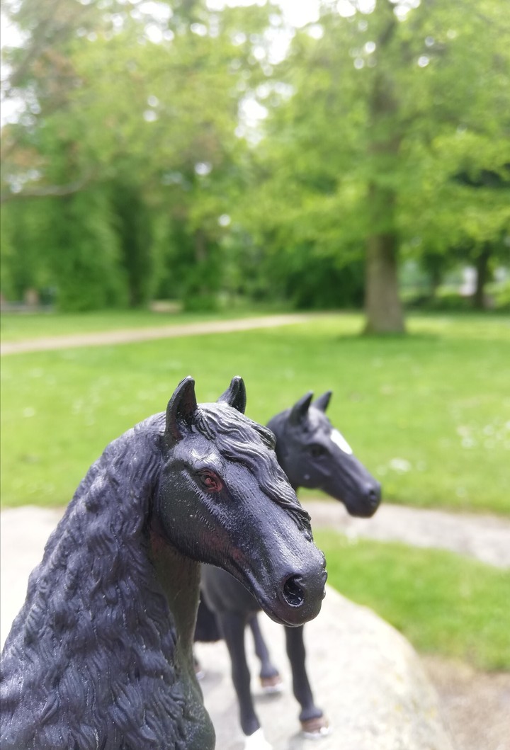 Ostwind and Blacky