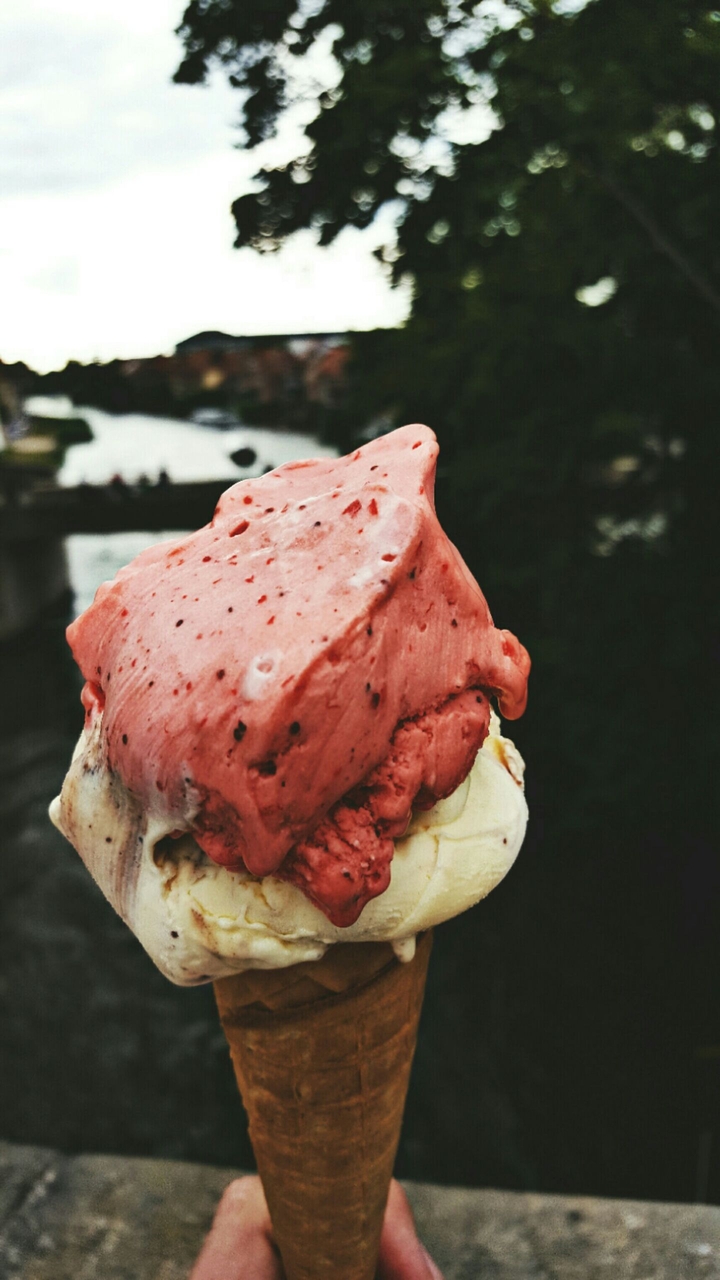strawberries+cookies 